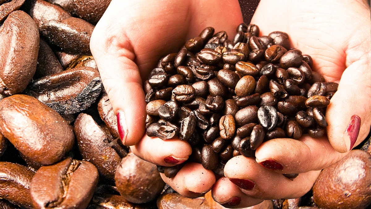 Aroma Expeditions - Fresh Coffee Beans on a Laborer Woman's Hands