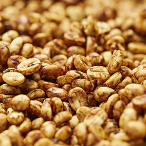 Honey-Processed Coffee Beans Dying, Showing a Sticky Layer Around the Beans