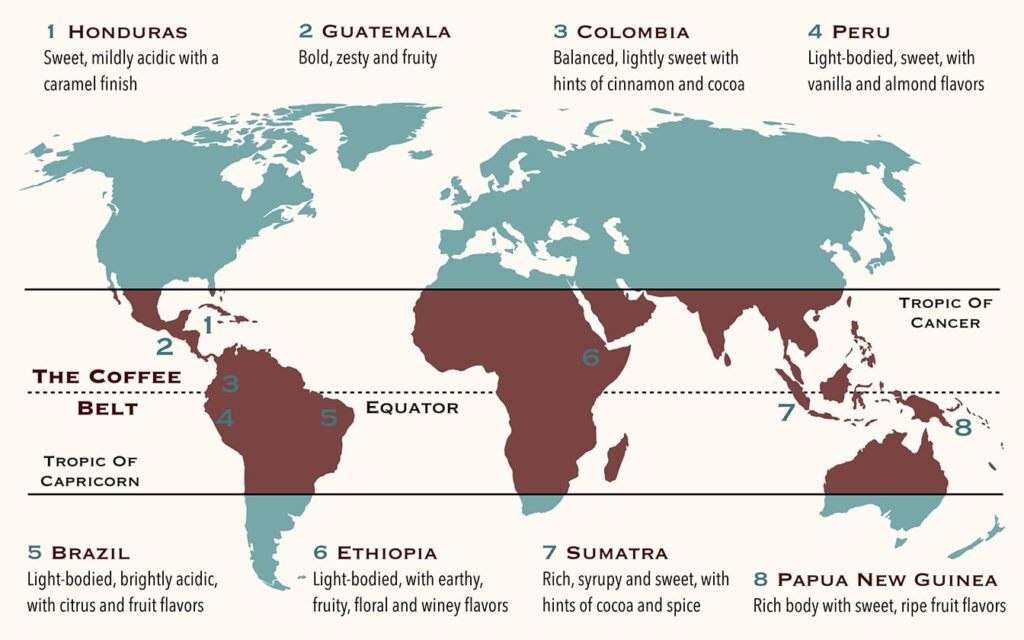 Sustainable Coffee Farming Practices — Global Map Showing Coffee-Growing Regions with Flavor Profiles